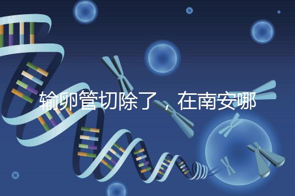 輸卵管切除了，在南安哪里能做試管嬰兒？