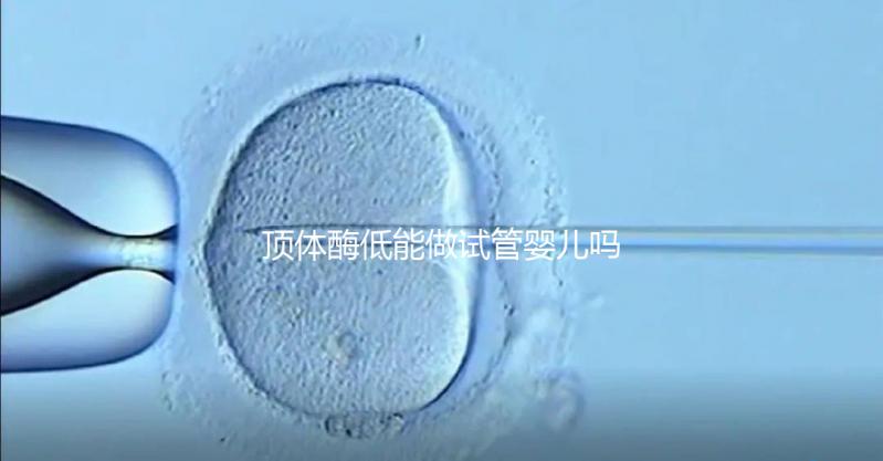 頂體酶低能做試管嬰兒嗎？你想知道的答案全在這