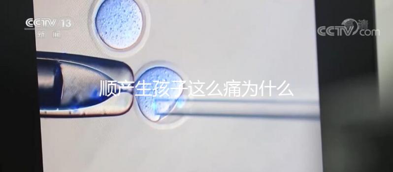 順產生孩子這么痛為什么大家能忍，這些真相非常戳心