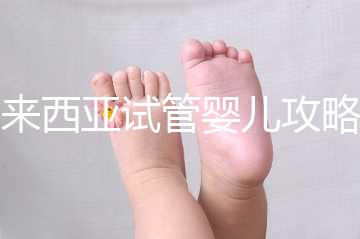 馬來西亞試管嬰兒攻略，試管流程及費用看完就懂