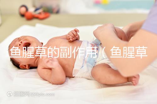 魚(yú)腥草的副作用(魚(yú)腥草治什么病最厲害)