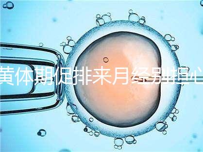 黃體期促排來月經(jīng)別擔(dān)心!過來人經(jīng)驗(yàn)告訴你怎么辦