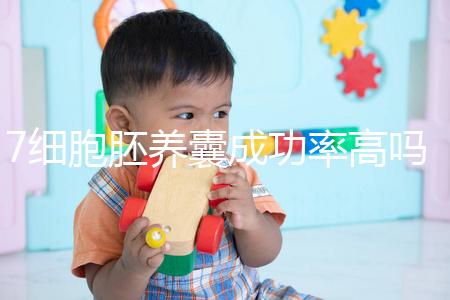 7細胞胚養(yǎng)囊成功率高嗎?聽聽做過試管的姐妹怎么說