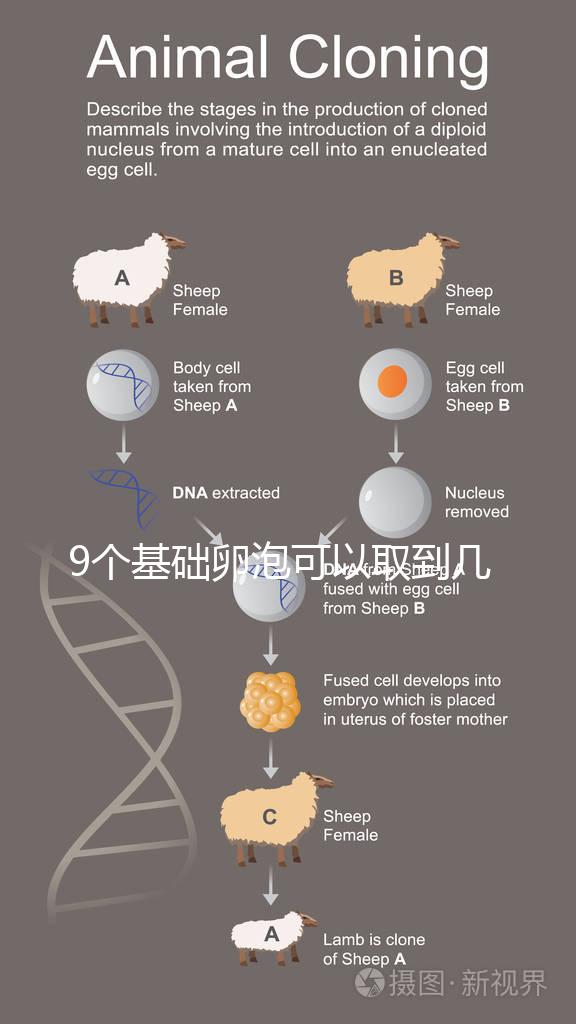 9個基礎卵泡可以取到幾個卵戳，促排后會不會增加很重要