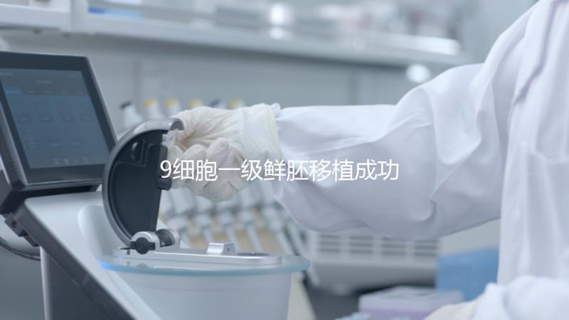 9細胞一級鮮胚移植成功率分析，和8細胞2級相比略遜一籌