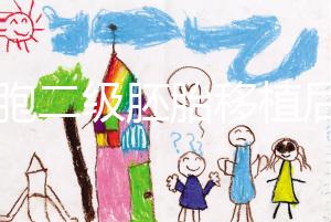 9細(xì)胞二級(jí)胚胎移植后8天沒(méi)感覺(jué)，成功率依然很高