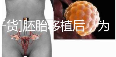 [干貨](méi)胚胎移植后，為什么醫(yī)生告訴你不要提前懷孕？