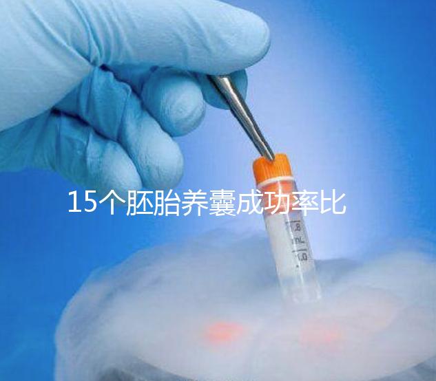15個胚胎養囊成功率比想象高，只成了1個不正常要警惕