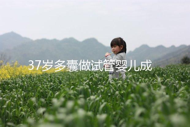 37歲多囊做試管嬰兒成功幾率多高？國內(nèi)哪里做比較好