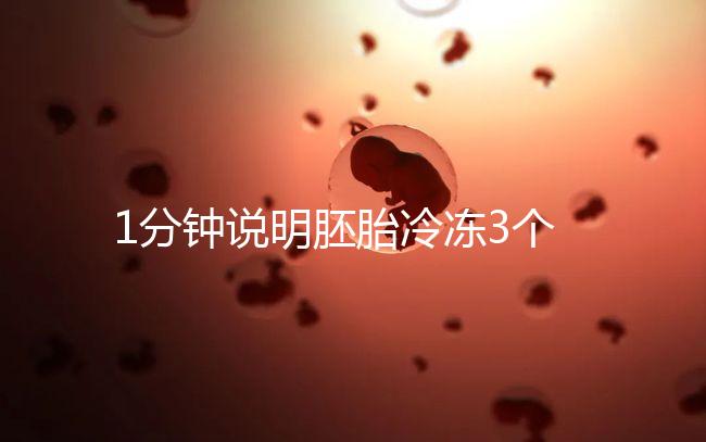1分鐘說明胚胎冷凍3個月和2個月有區(qū)別做試管的人應該看看