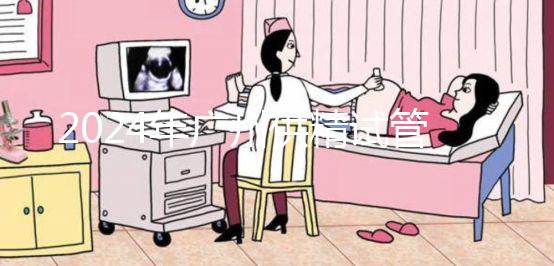 2024年廣州供精試管嬰兒最新價格表，必須符合要求