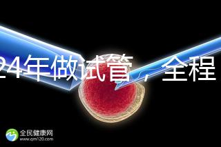 2024年做試管，全程下來要多少錢？