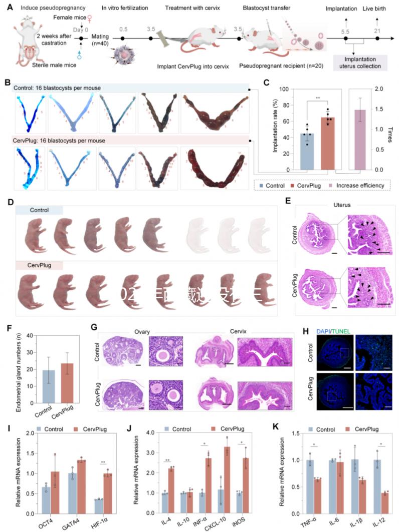 2024年西藏還沒有三代試管嬰兒醫院，那該去哪里做三代呢？