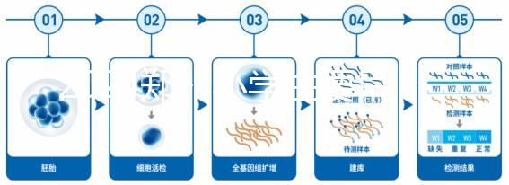2024鄭州小學生要早知道入學條件，別忘了中原區的這些證件