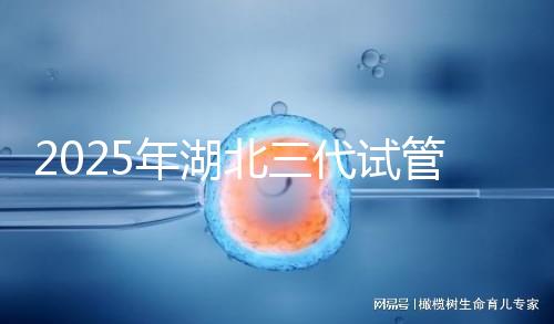 2025年湖北三代試管嬰兒費用明細一覽 附價格清單！