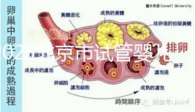 2025北京市試管嬰兒醫(yī)院排名TOP10:推薦5家私立機構(gòu)+5家公立醫(yī)院