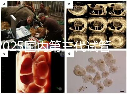 2025國內(nèi)第三代試管嬰兒技術(shù)醫(yī)院成功率排名榜,top5名單發(fā)布