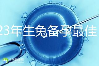 2023年生兔備孕最佳時(shí)間表參考,避開(kāi)十兔九苦月份